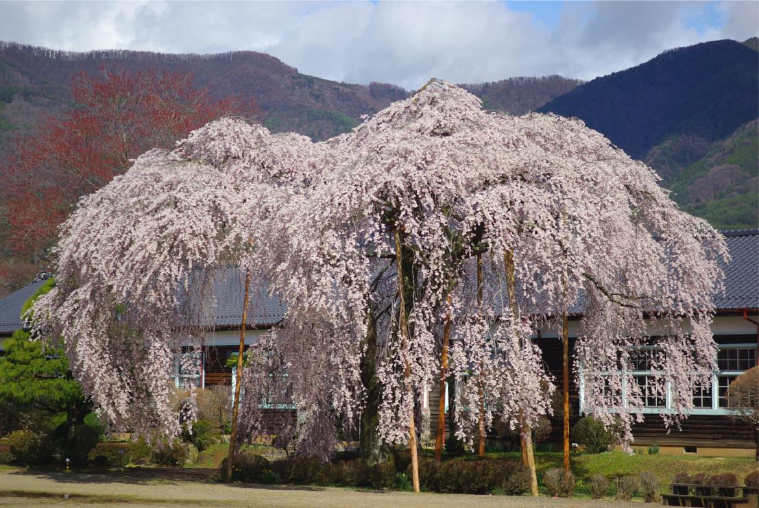 Ryokan Ootaya Iida Exteriér fotografie